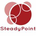 SteadyPoint