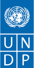 برنامج الأمم المتحدة الإنمائي UNDP