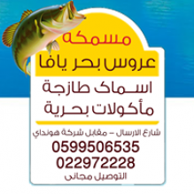 مسمكة عروس بحر يافا
