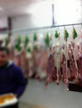 شركة الحوساني لتجارة اللحوم و المواشي