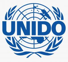 منظمة الأمم المتحدة للتنمية الصناعية (UNIDO)