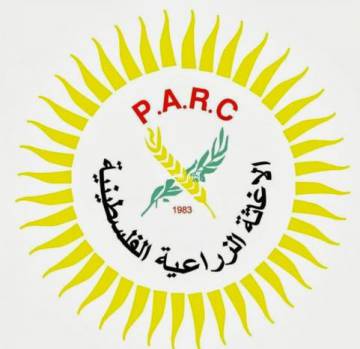 Media and advocacy assistant - غزة