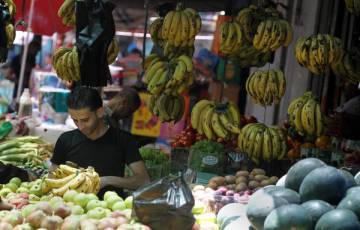 اسعار الفواكه في اسواق غزة اليوم الجمعة