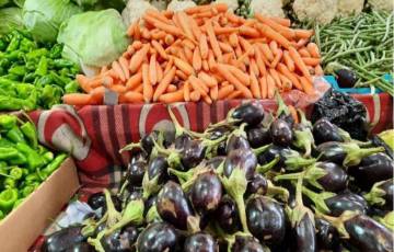 تعرف على القائمة المحدثة لأسعار الخضروات والدجاج بأسواق غزة