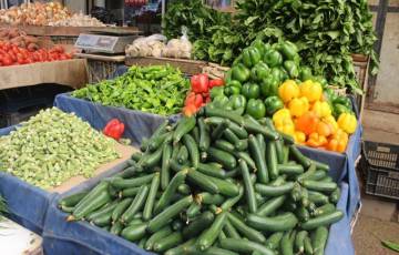 أسعار الخضروات والفواكه في أسواق غزة اليوم الخميس 13 فبراير