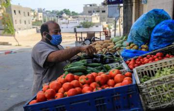 سعر الدجاج والخضار في أسواق غزة اليوم السبت