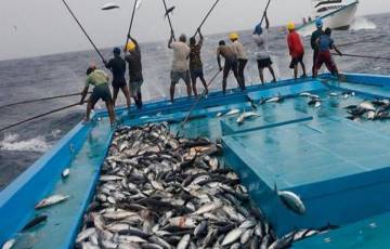 نقابة الصيادين تسمح بمزاولة مهنة الصيد اليومين المقبلين