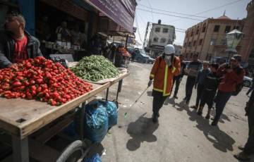 أسعار الخضروات والفواكه في قطاع غزة اليوم الثلاثاء 
