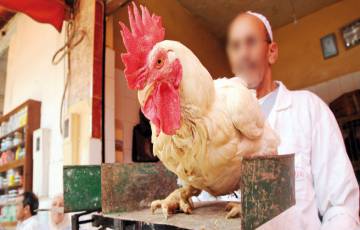 "ارتفاع أسعار الدجاج".. طالع أسعار الدجاج واللحوم اليوم الجمعة