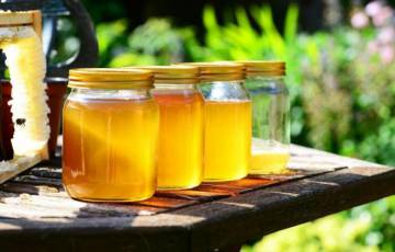 المباحث بغزة تُوقف مواطناً لقيامه بصناعة عسل مغشوش مجهز للبيع