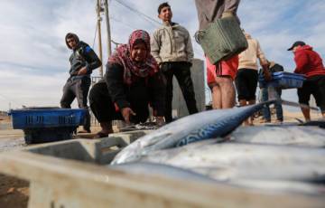 قناة إسرائيلية تكشف سبب منع تصدير السمك من غزة للضفة 