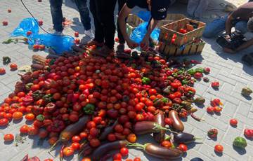 غزة: مزارعون يتلفون منتجاتهم احتجاجاً على منع التصدير، و"الوزارة" تتراجع