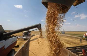 أوكرانيا: نقص منشآت تخزين الحبوب في ظل صعوبات التصدير