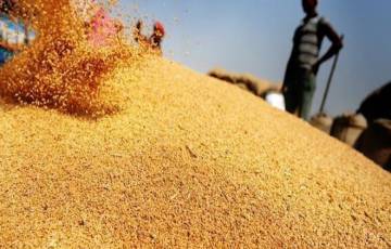 الملايين يواجهون خطر سوء التغذية بسبب ارتفاع أسعار القمح