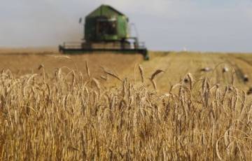 الهند تفرض قيودا على صادرات دقيق القمح