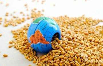 الأغذية العالمي: تضخم أسعار الغذاء وانهيار العملات يهددان الأمن الغذائي
