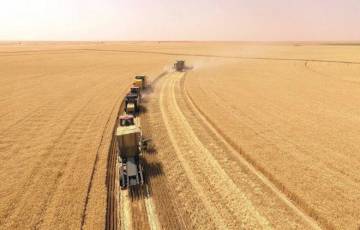 القمح يسجل أعلى مستوى في 4 أسابيع بعد إعلان وقف تصدير الحبوب الروسية