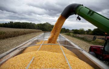 روسيا .. انسحاب شركات تجارة القمح الغربية يترك الصادرات في قبضة «المحلية»