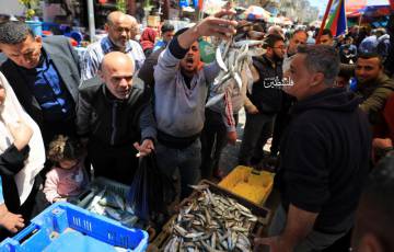 تقرير بالرغم من قيود الاحتلال.. السردين تعايد صيادي الأسماك في غزة   