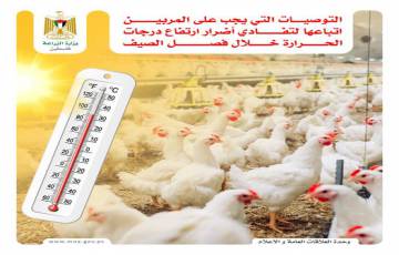 " الزراعة " مجموعة من الإرشادات الهامة لمربي الثروة الحيوانية لتفادي أضرارارتفاع درجات الحرارة