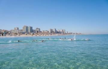 بلدية غزة: بإمكان المصطافين السباحة في الشاطئ دون الخوف من تلوث المياه   