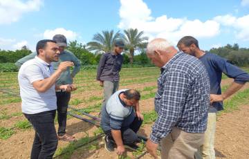 الزراعة تتفقد مزارعي محصول الذرة شمال غزة