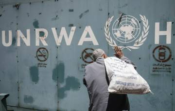 "اللجنة المشتركة للاجئين" تطالب بوضع حلول مجدية لأزمة "الأونروا"