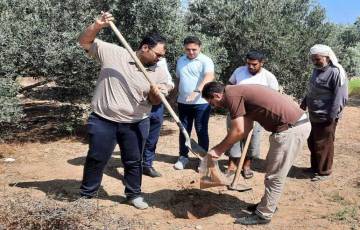 تضمنت أخذ عينات من التربة والمياه.. جولة ميدانية على مزارعي الزيتوت شرق غزة