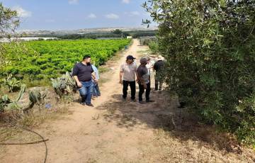 بالشراكة مع زراعة خانيونس..جولة علمية لزراعة شمال غزة في المحافظة