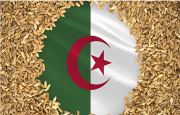 الجزائر اشترت قمحا في مناقصة عالمية