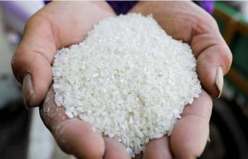 أسعار الأرز بآسيا تقفز لأعلى مستوياتها في 3 أعوام