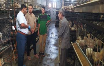 الزراعة تتفقد مزارع الدجاج اللاحم بخانيونس  ‏بالتزامن مع ارتفاع درجات الحرارة