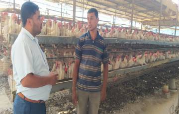 الزراعة تنفذ جولات ارشادية على مزارع الدجاج البياض بخانيونس