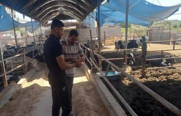 " الزراعة  " جولات ميدانية على عدد من مربي ‏الانتاج الحيواني بمحافظة غزة