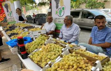 انطلاق مهرجان تسويق العنب في جنين للعام السادس على التوالي