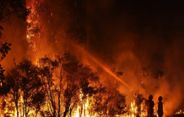 حرائق الغابات تكبد أوروبا خسائر بقيمة 4.1 مليارات يورو