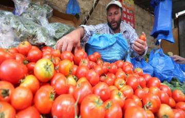 الزراعة بغزة تُصدر قراراً عاجلاً بشأن تصدير البندورة    