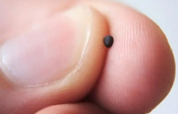 بحجم حبة الملح: أصغر كاميرا في العالم